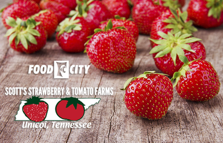 Scottâ€™s Strawberries Now Available at Select Food City Locations  