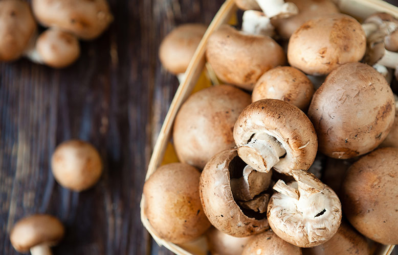 Wellness Club — Solving the Vitamin D Mystery with Mushrooms