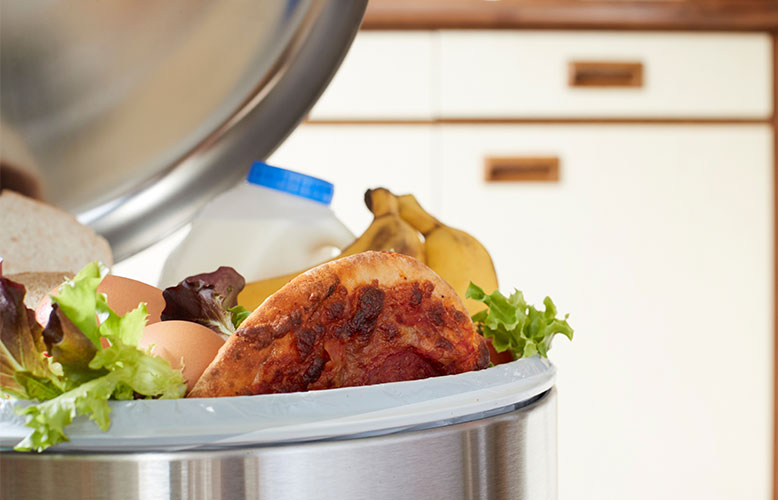 Wellness Club — Avoiding Food Waste