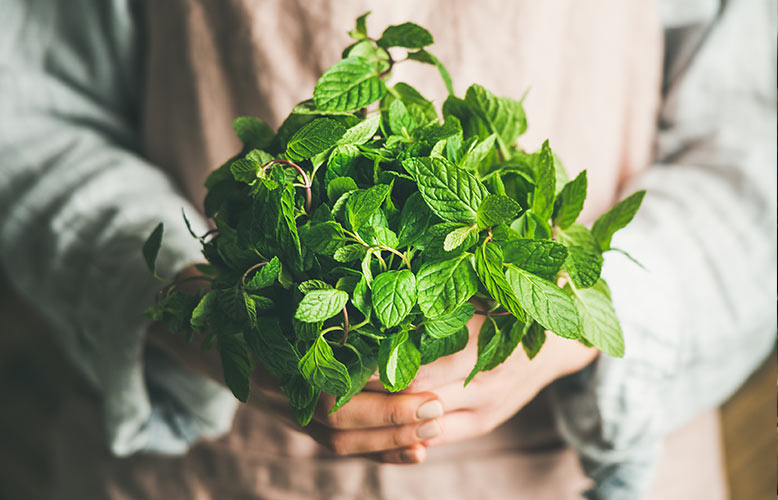 Wellness Club â€” 5 Herbs Every Cook Should Use