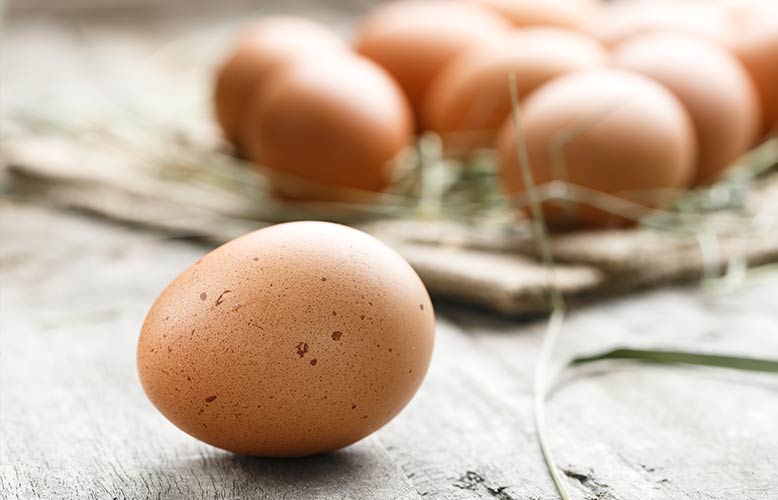 Wellness Club â€” A Good Egg