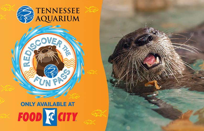 Tennessee Aquarium Rediscover The Fun Pass Sale