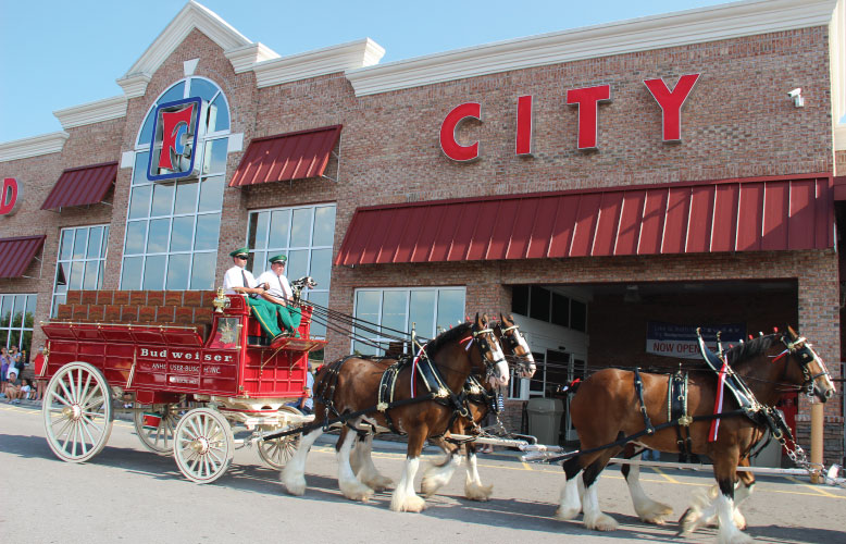 Budweiser Clydesdales Appearance