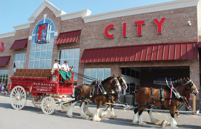 World Renowned Budweiser Clydesdales To Appear at the Maryville, TN Food City