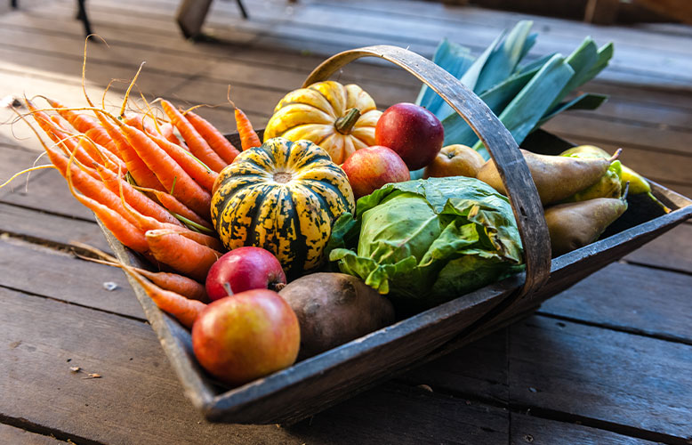 Wellness Club — Fall Produce Picks