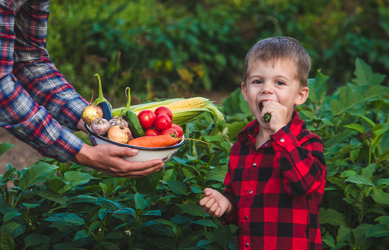 Wellness Club — Local Growers