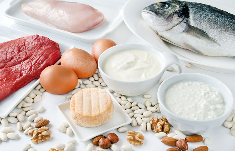 Wellness Club — Healthy Aging: Protein