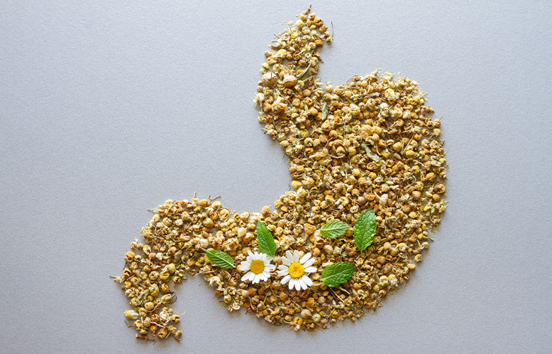 Wellness Club — Happy Gut, Healthy You!