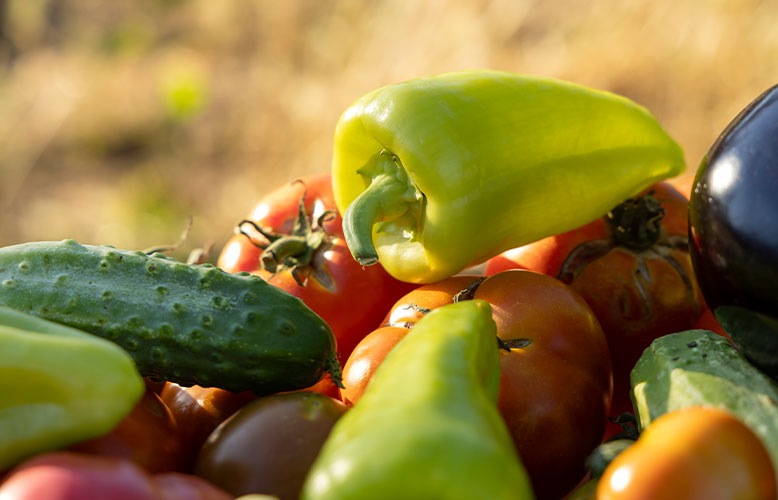 Wellness Club — Local Growers 