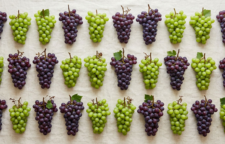Wellness Club — Whole-Body Health: California Grapes Support Everything from Immunity and Digestion 