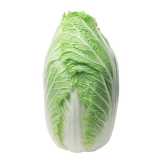 Fresh Nappa Cabbage