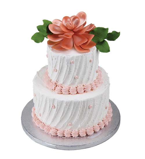 Magnolia Celebration Cake