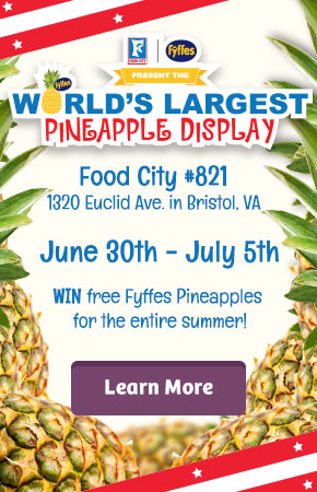 World's Largest Pineapple Display