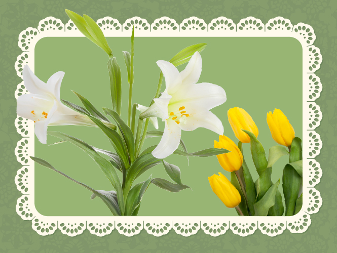 Custom made Easter decorations, fresh cut floral arrangements, centerpieces and more in the floral department at Food City.