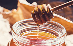 The Strange Honey Farm harvests enough honey April-September to supply 100% pure Tennessee Mountain Honey to your local Food City grocery year round. 