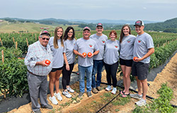 Grainger County, Tennessee’s Stratton Farms consists of third, fourth and fifth-generation farmers working together to bring the highest quality produce to your local Food City grocery store.
