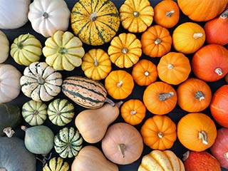 Fall produce is here! Get your favorites at your local Food City including fresh winter squash.