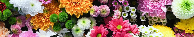 Giving and receiving fresh floral arrangements, beautiful bouquets, gifts, and more from the floral experts at Food City has never been easier with DoorDash