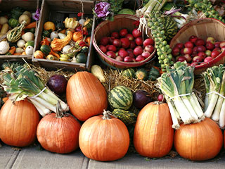 Find the freshest fall produce direct from the farm at a Food City near you.