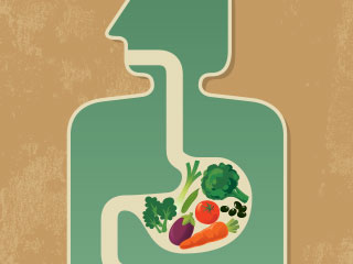 The Food City Wellness team shares the best ways to support a healthy gut.