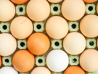 The Food City Wellness team shares how to fuel you active lifestyle with protein rich eggs.
