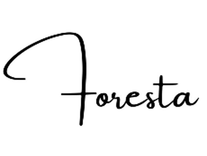 Tucked into historic downtown Abingdon, Foresta is one of the town’s standout dining destinations, blending modern Asian fusion with creative culinary flair and a lively bar.