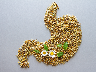 Maintaining a healthy gut is very important for better digestion, improved nutrient absorption, and overall well-being. Join the Food City Wellness team as they discuss gut health.