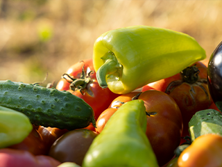 Celebrate local fruits, vegetables and farmers!  Food City has reimagined the classic farmers market model and partners to bring local goods directly to stores through the Local Growers program.