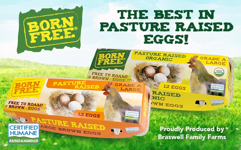 Born Free Eggs